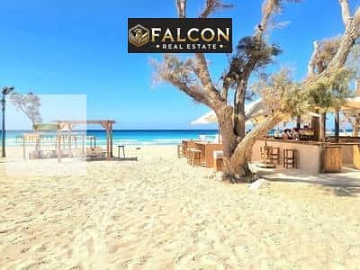 8 175208642-400x300. jpeg