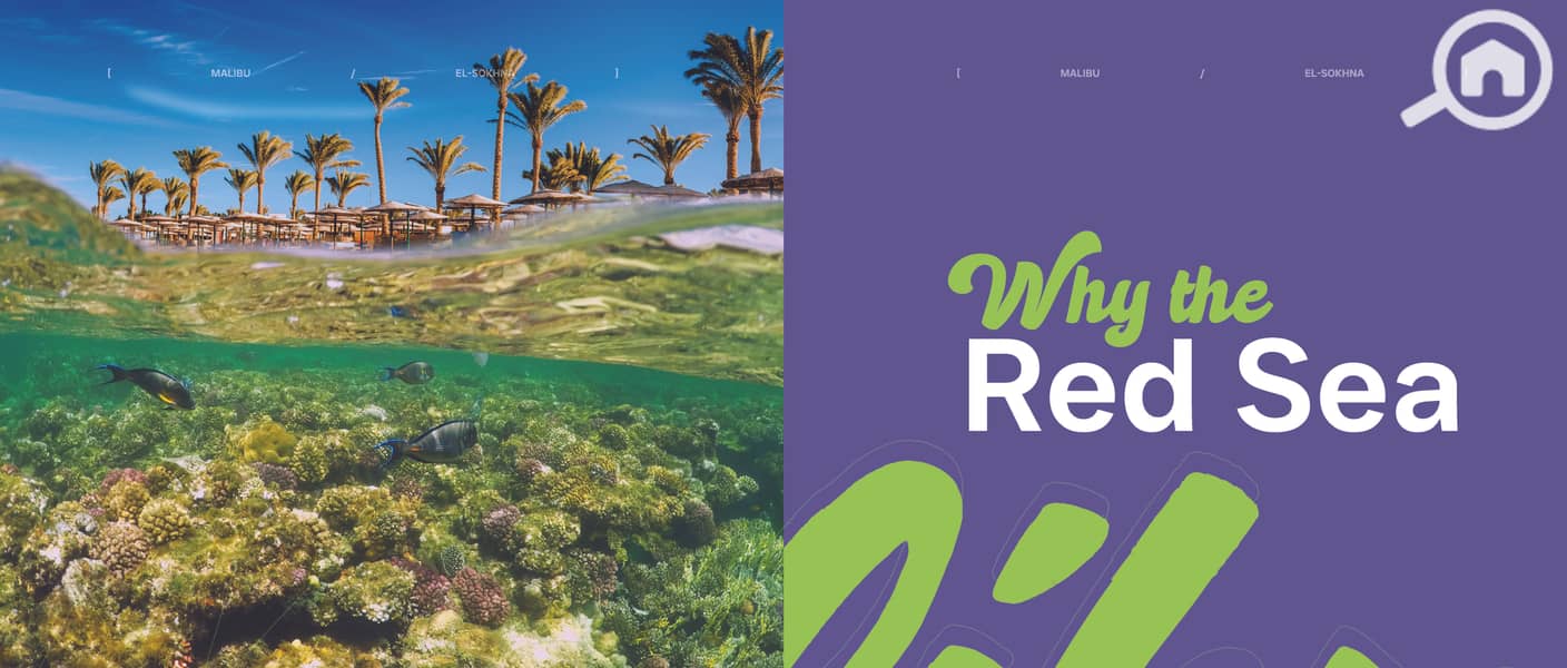 16 Malibu Brochure_Page_07. jpg