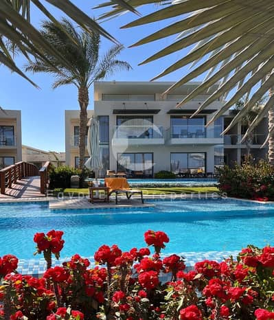 3 Bedroom Villa for Sale in Soma Bay, Red Sea - WhatsApp Image 2026-07-21 at 4.13. 31 PM. jpeg 3 Bedroom Villa for Sale in Soma Bay, Red Sea - WhatsApp Image 2026-07-21 at 4.13. 31 PM. jpeg