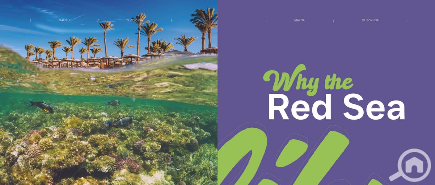 15 Malibu Brochure_Page_07. jpg