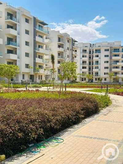 3 Bedroom Flat for Sale in North Coast, Matruh - WhatsApp Image 2026-06-13 at 12.56. 10 PM (2). jpeg