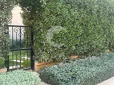 3 image - 2026-08-02T161032.764. png