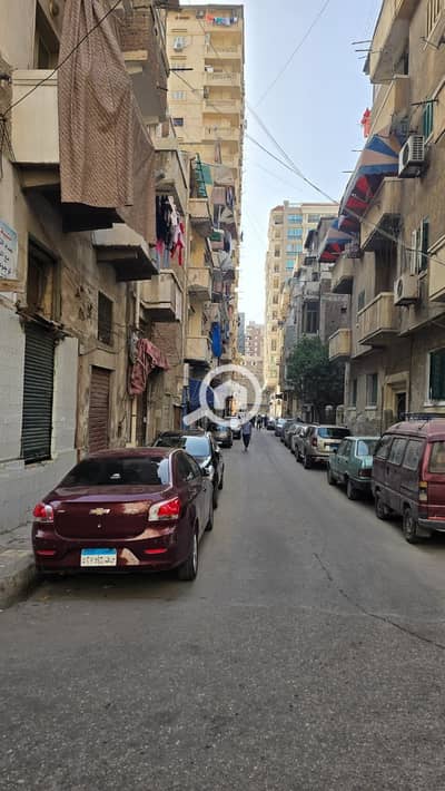 فلیٹ 2 غرفة نوم للبيع في الابراهيمية، الإسكندرية - IMG-20260801-WA0084. jpg فلیٹ 2 غرفة نوم للبيع في الابراهيمية، الإسكندرية - IMG-20260801-WA0084. jpg