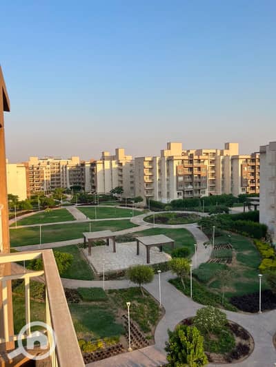 3 Bedroom Apartment for Rent in Shorouk City, Cairo - 10a761f1-aaf4-4a7e-89a4-50f1bb1b75ef. jpg 3 Bedroom Apartment for Rent in Shorouk City, Cairo - 10a761f1-aaf4-4a7e-89a4-50f1bb1b75ef. jpg