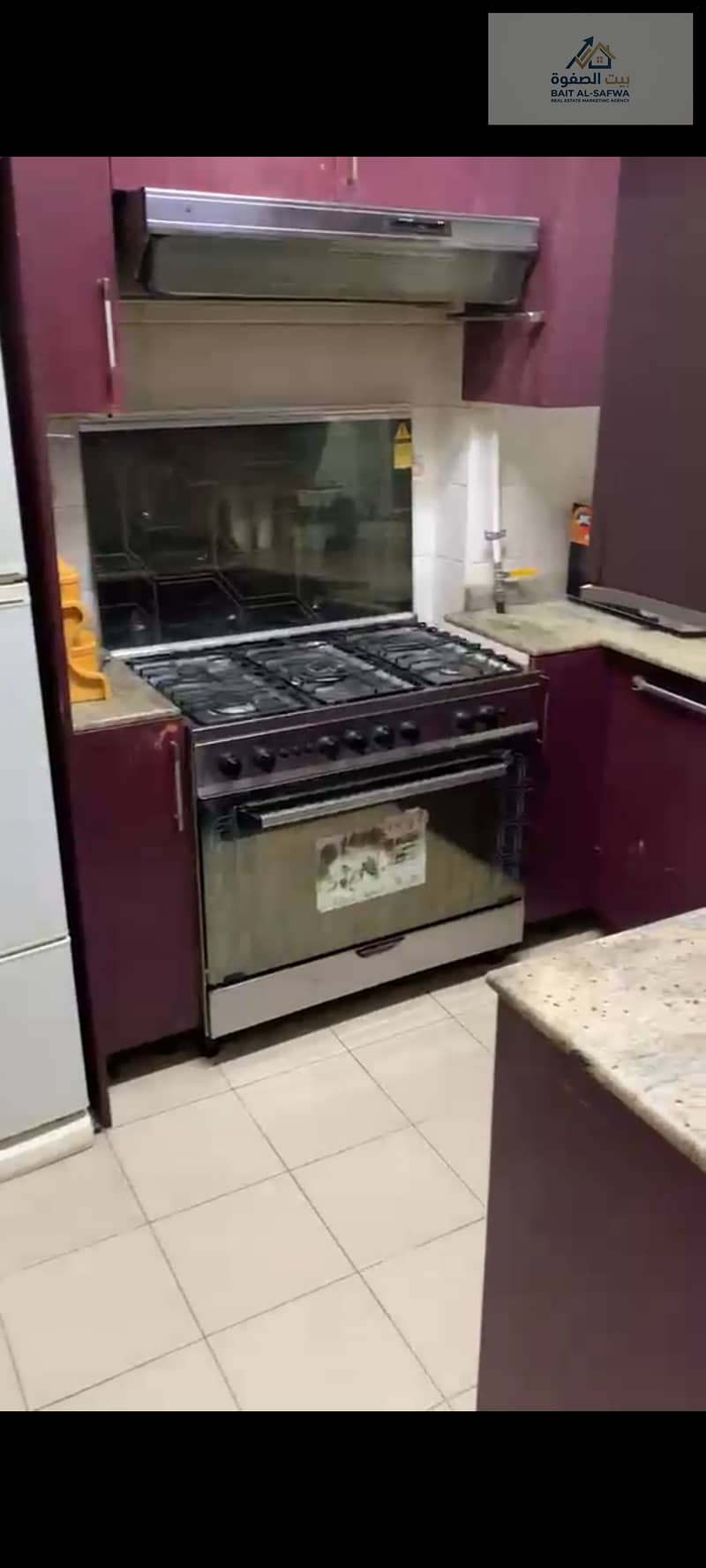2 113836. jpg