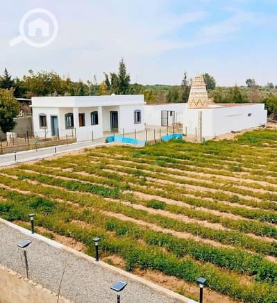 Agricultural Land for Sale in Fayoum City, Fayoum - 1000078874. jpg Agricultural Land for Sale in Fayoum City, Fayoum - 1000078874. jpg