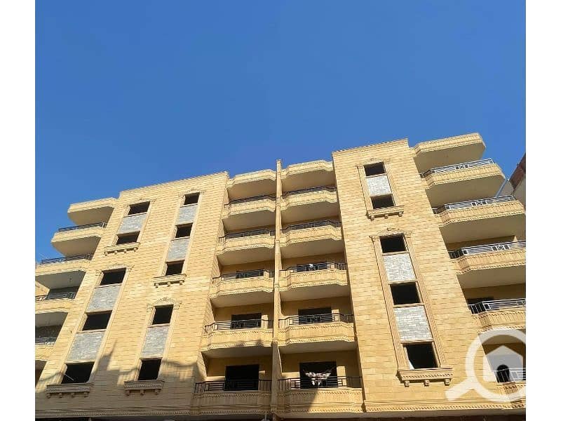 5 1000143640. jpg