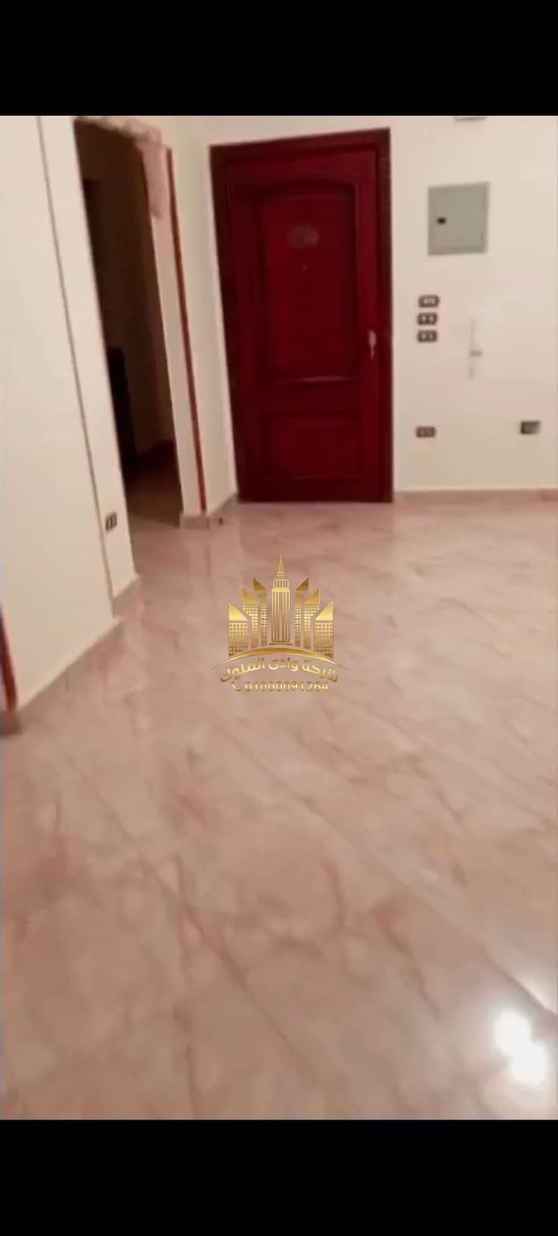 3 11297. jpg