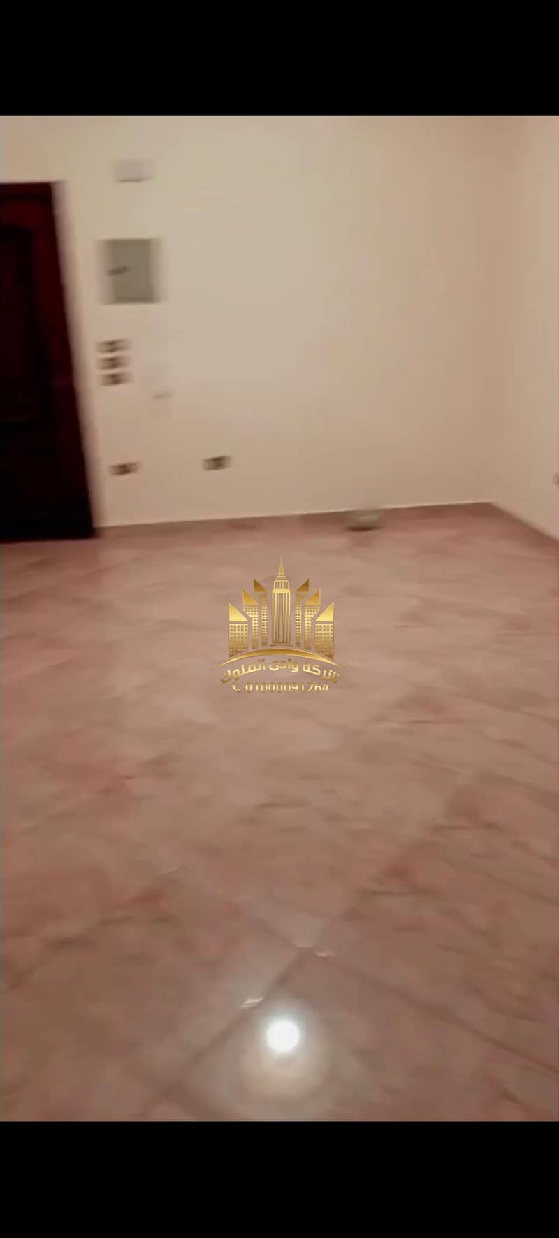7 11296. jpg
