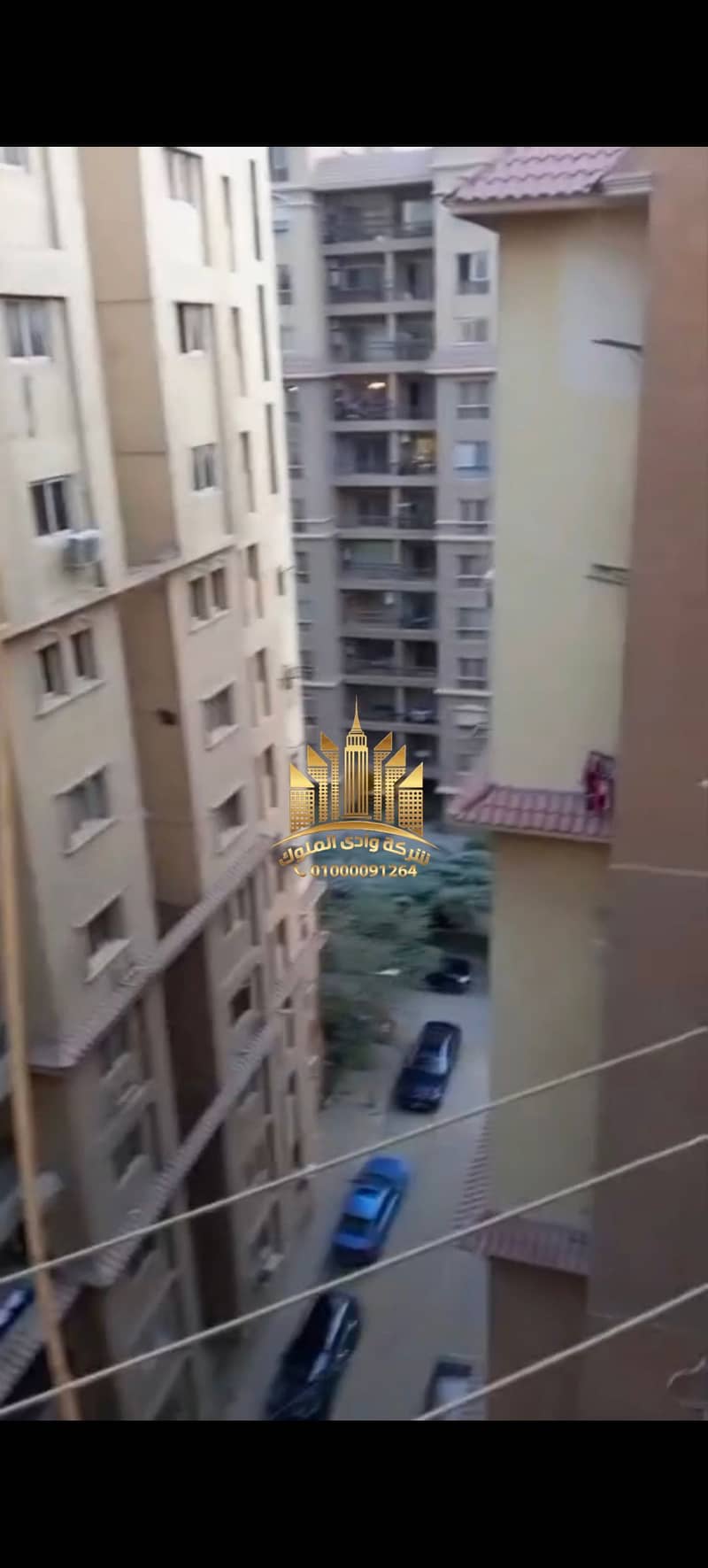 24 11314. jpg