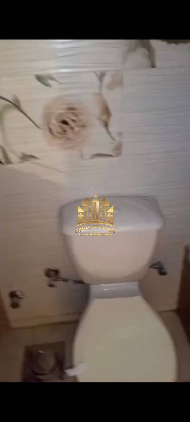 28 11318. jpg