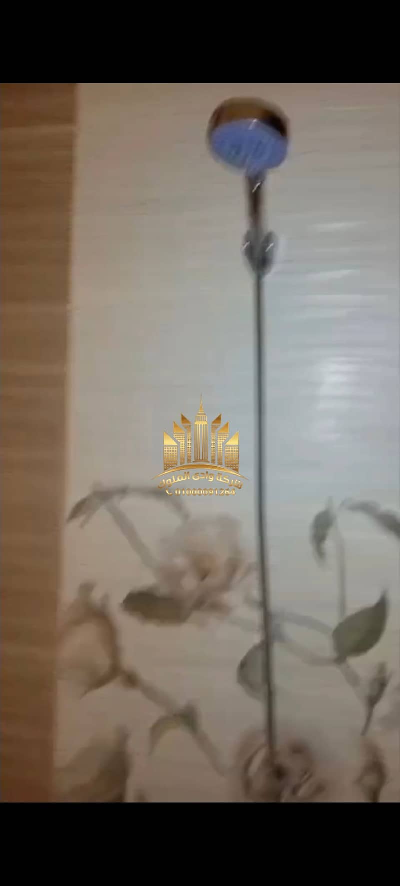 29 11319. jpg