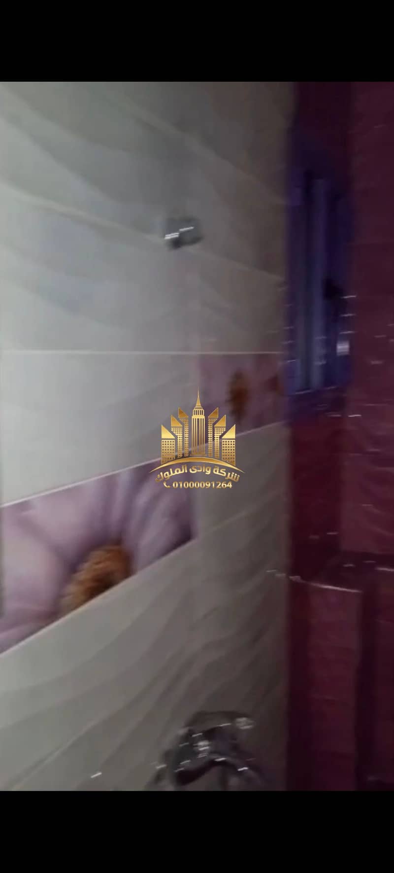 48 11339. jpg