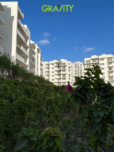 1 Bedroom Apartment for Sale in North Coast, Matruh - WhatsApp Image 2026-07-26 at 3.06. 07 PM. jpeg