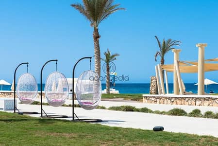 شاليه 3 غرف نوم للبيع في الساحل الشمالي، مطروح - 69ac8fe1-708a-442b-ba00-1a8f8e04d855. jpeg شاليه 3 غرف نوم للبيع في الساحل الشمالي، مطروح - 69ac8fe1-708a-442b-ba00-1a8f8e04d855. jpeg