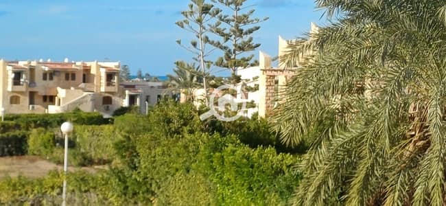 شاليه 3 غرف نوم للايجار في الساحل الشمالي، مطروح - 1000111429. jpg