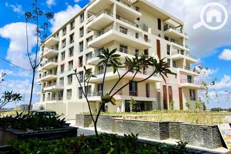 3 Bedroom Apartment for Sale in Palm Hills, Alexandria - WhatsApp Image 2026-07-27 at 20.00. 15. jpg 3 Bedroom Apartment for Sale in Palm Hills, Alexandria - WhatsApp Image 2026-07-27 at 20.00. 15. jpg