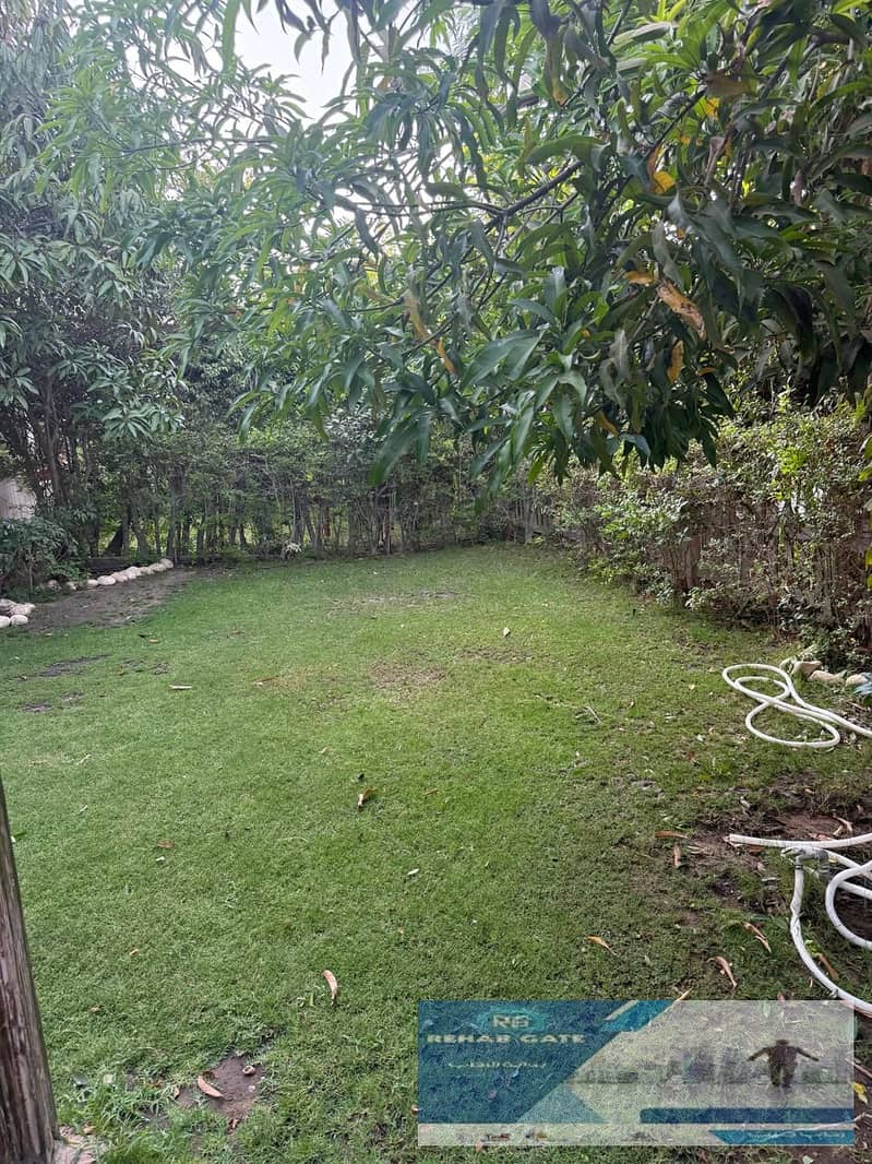 11 79d3e278-3cec-4eed-98fe-f94f2270c5a6. jpg