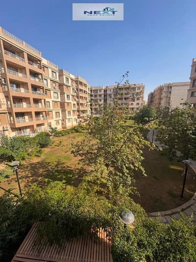 3 Bedroom Flat for Rent in Madinaty, Cairo - 1. jpeg 3 Bedroom Flat for Rent in Madinaty, Cairo - 1. jpeg