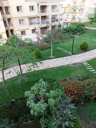 3 Bedroom Apartment for Sale in Madinaty, Cairo - 1. jpg