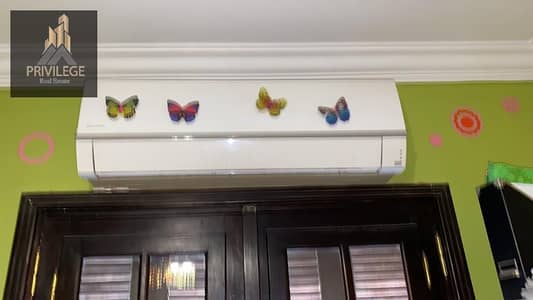 2 Bedroom Flat for Rent in Zahraa Al Maadi, Cairo - 1000242968. jpg 2 Bedroom Flat for Rent in Zahraa Al Maadi, Cairo - 1000242968. jpg