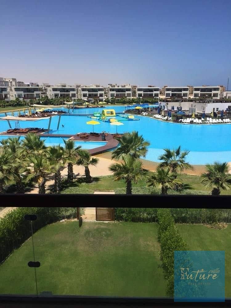 2 1001679562. jpg