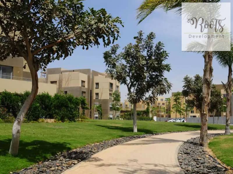 11 palm-park-1667480804. jpg