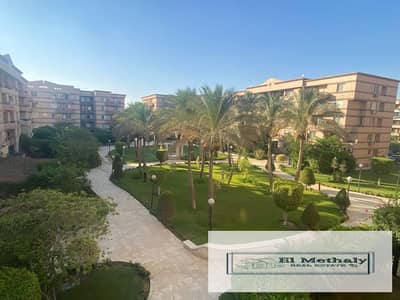 3 Bedroom Apartment for Rent in New Cairo, Cairo - WhatsApp Image 2026-08-03 at 12.45. 53 PM (1). jpeg