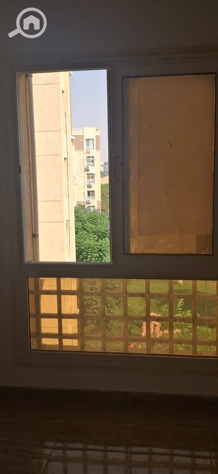 8 1000038944. jpg