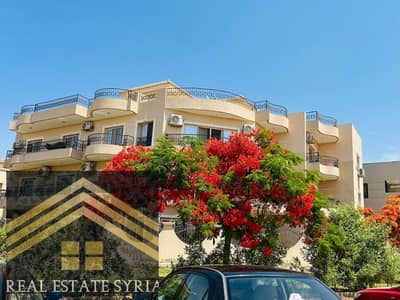 3 Bedroom Flat for Rent in Shorouk City, Cairo - 1000531967. jpg 3 Bedroom Flat for Rent in Shorouk City, Cairo - 1000531967. jpg