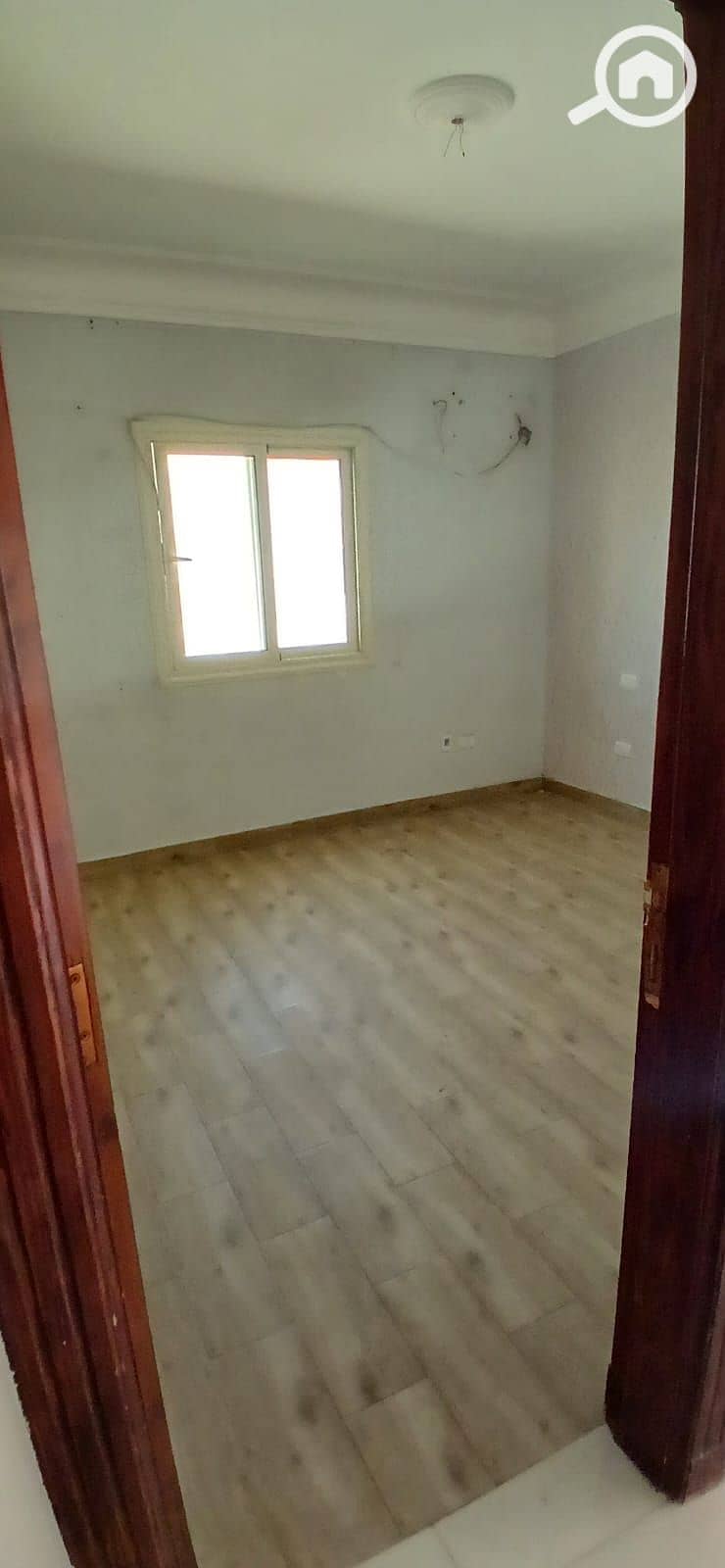 3 1000133580. jpg