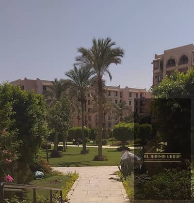 2 Bedroom Apartment for Rent in New Cairo, Cairo - WhatsApp Image 2026-08-02 at 7.12. 55 PM (2). jpeg 2 Bedroom Apartment for Rent in New Cairo, Cairo - WhatsApp Image 2026-08-02 at 7.12. 55 PM (2). jpeg