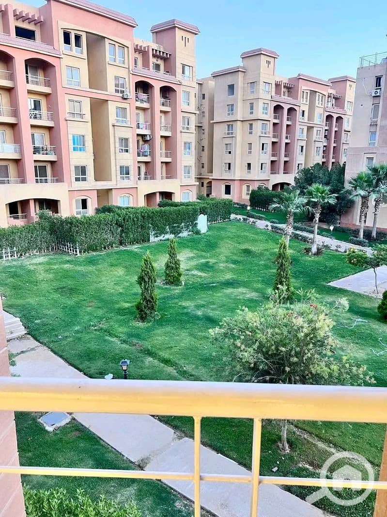 2 1000319633. jpg