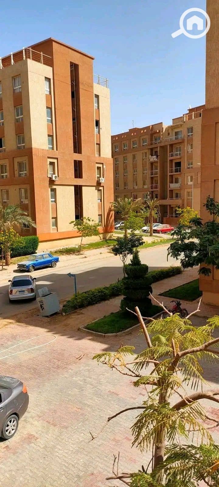 4 1000319632. jpg
