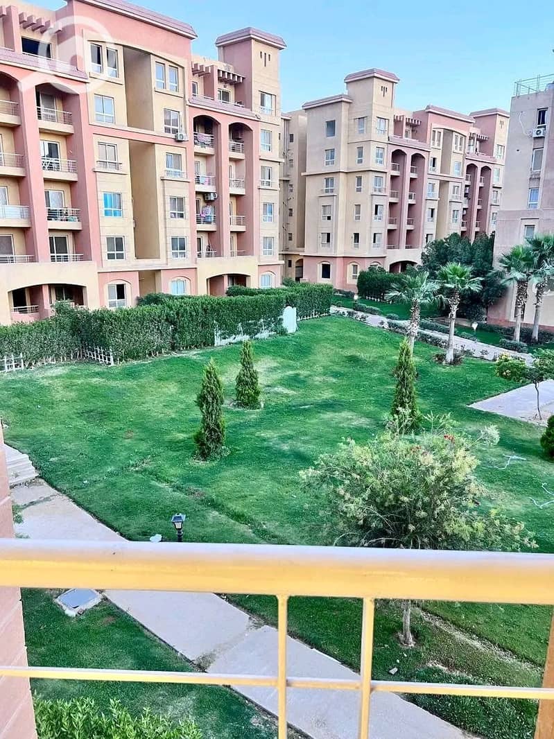5 1000319633. jpg