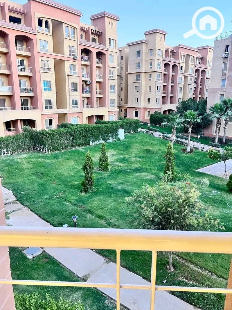 7 1000319633. jpg