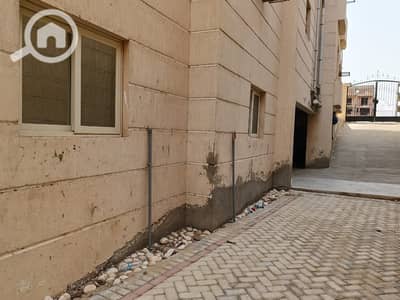 6 Bedroom Villa for Rent in Shorouk City, Cairo - WhatsApp Image 2026-08-03 at 4.45. 47 PM (6). jpeg