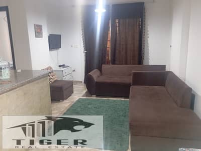 1 Bedroom Apartment for Rent in Madinaty, Cairo - 1003262497. jpg
