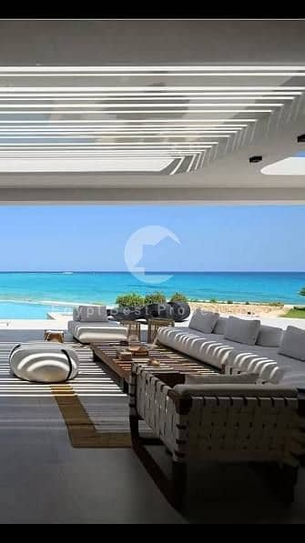 3 images (2). jpg