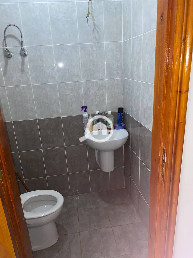5 402966. jpg