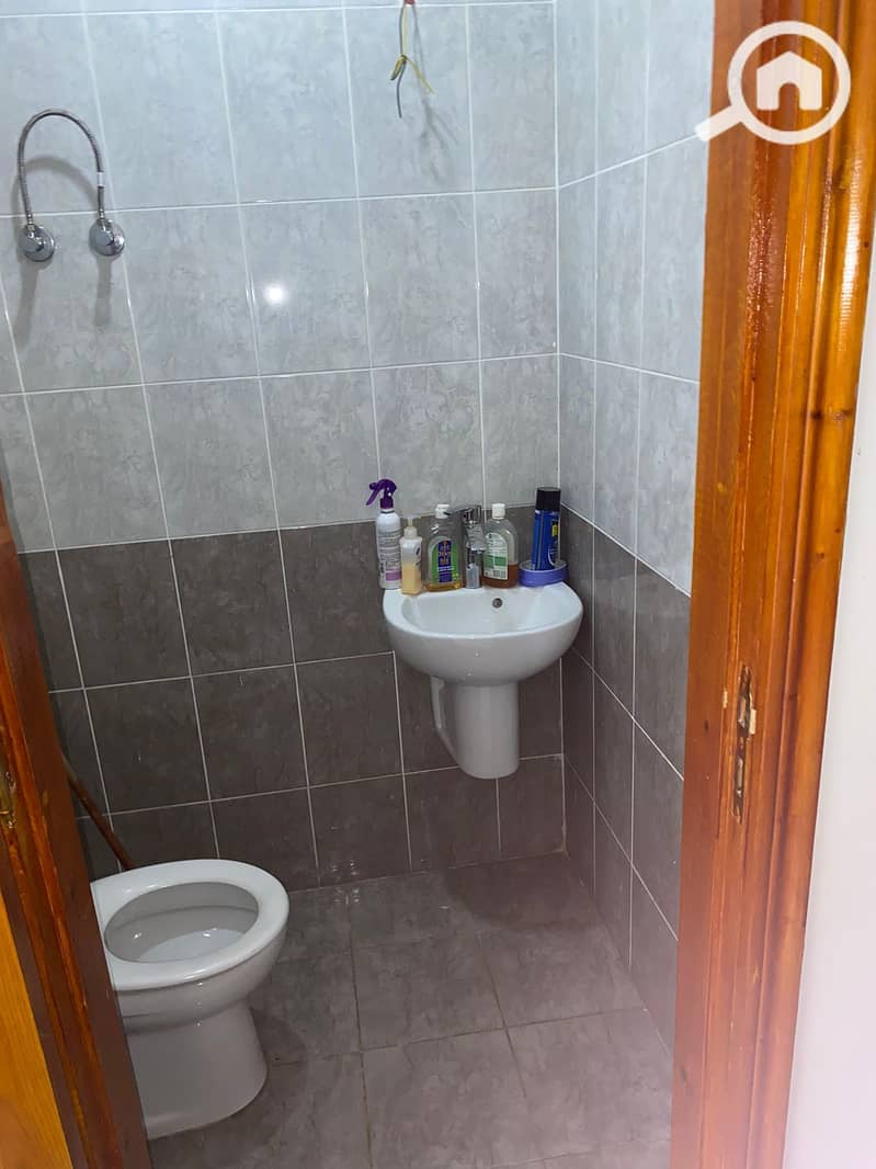 6 402966. jpg