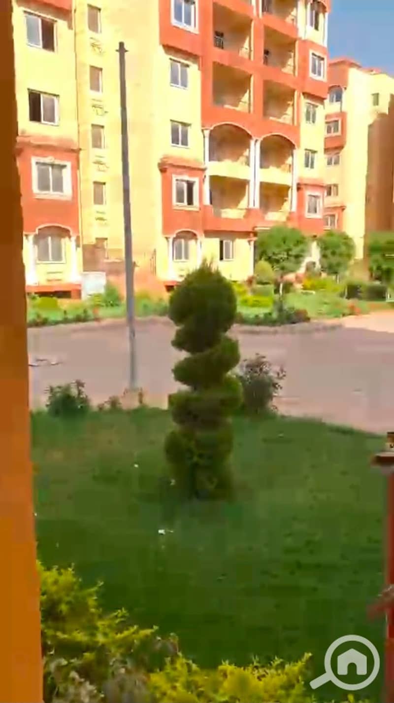 6 1001197670. jpg