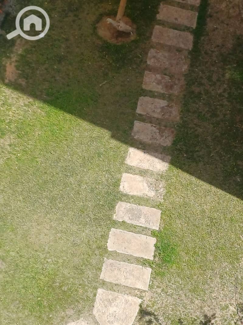 1001526222. jpg 1001526222. jpg
