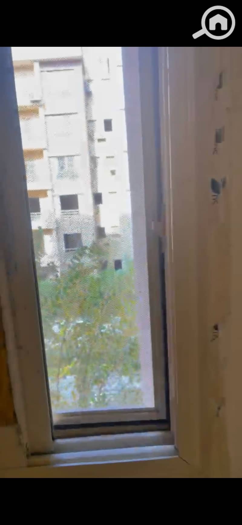 16 900076. jpg