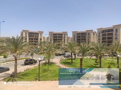 3 Bedroom Apartment for Rent in New Cairo, Cairo - 91366. jpg 3 Bedroom Apartment for Rent in New Cairo, Cairo - 91366. jpg