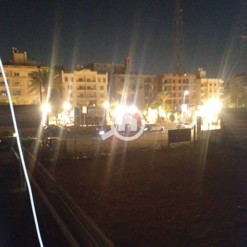 14 1000486314. jpg