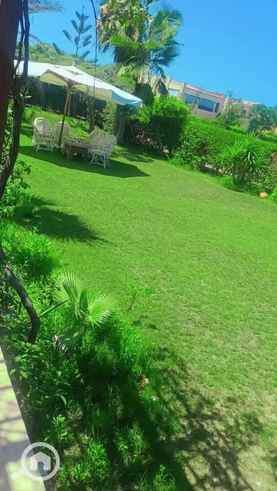 فیلا 3 غرف نوم للايجار في الساحل الشمالي، مطروح - 1000895491. jpg فیلا 3 غرف نوم للايجار في الساحل الشمالي، مطروح - 1000895491. jpg