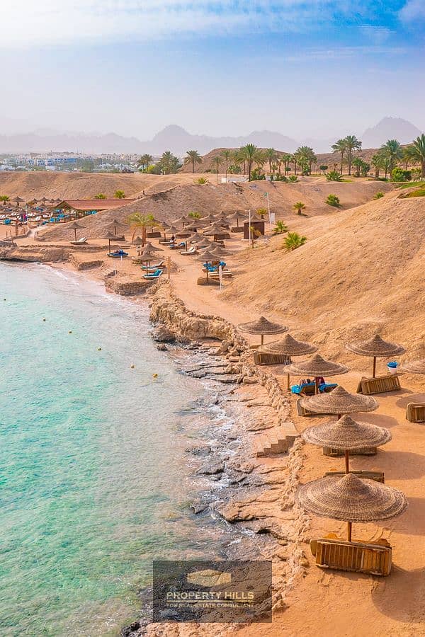 10 Planning a trip to Egypt_ You absolutely cannot…. jpg