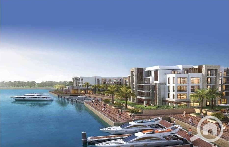 6 SONqo0iROjH6mM5rP6kBGyOYCOkxCVMarina-3. jpg
