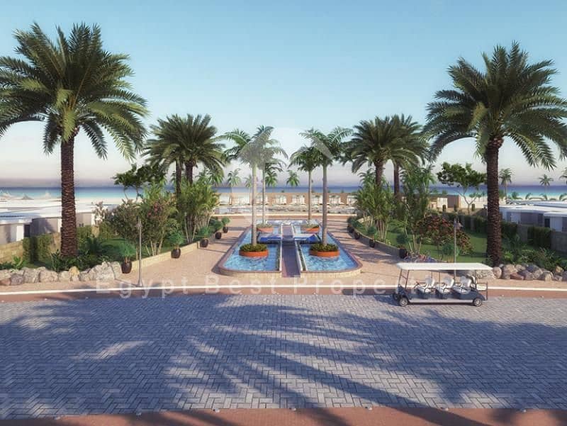 5 1-39. jpg